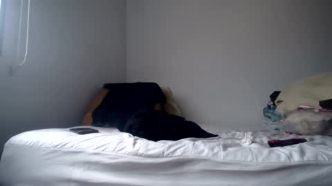 DEXTER online show from 24, 2, 2025