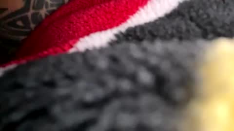 Mexakin online show from 16, 11, 2025