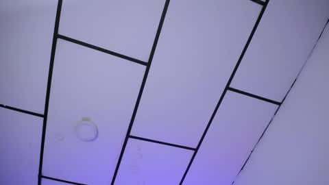 LAURA online show from 24, 12, 2024