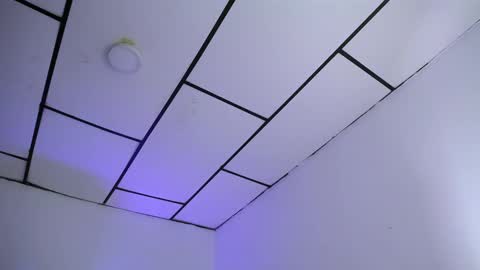 LAURA online show from 28, 1, 2025