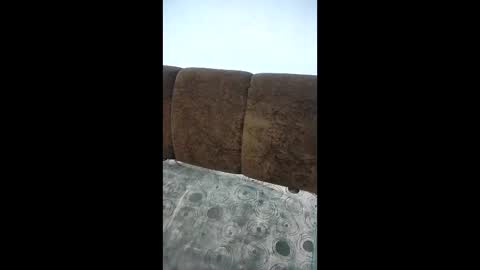 laura_sofia23 online show from 7, 1, 2026