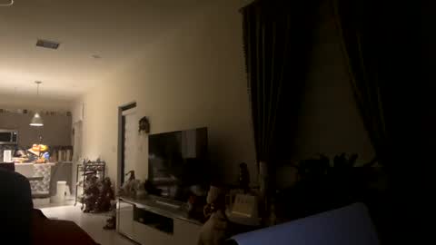 law_cambio online show from 31, 12, 2024