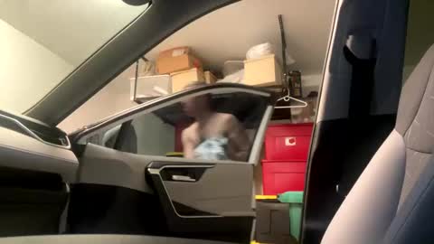 law_cambio online show from 1, 3, 2025