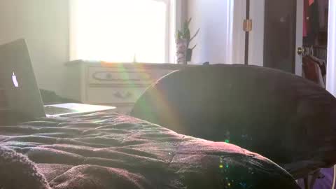 Laycee Layne online show from 20, 12, 2025