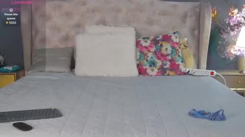 Dia online show from 16, 12, 2025