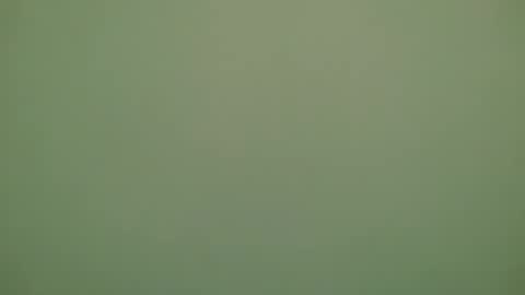 Snapshot of lechiffre1205 chatting on 28, 11, 2025 Michel online show from 28, 11, 2025