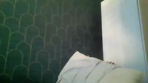 leeuwarder12 online show from 20, 11, 2025