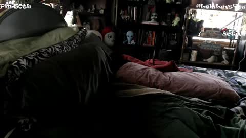 Lelu Fallas online show from 5, 1, 2025