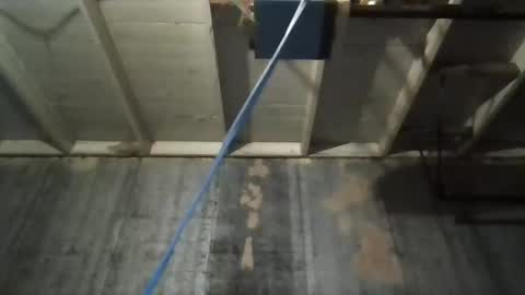 Snapshot of leo199984 chatting on 9, 11, 2025 leo199984 online show from 9, 11, 2025