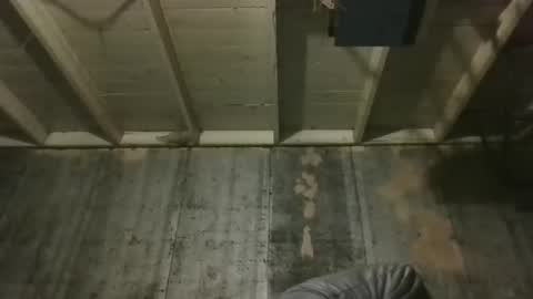 Snapshot of leo199984 chatting on 19, 12, 2025 leo199984 online show from 19, 12, 2025