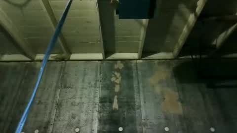 leo199984 online show from 20, 3, 2026