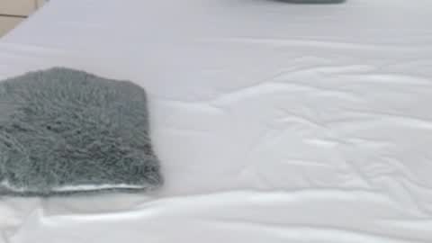 Snapshot of leonacutecam chatting on 17, 2, 2026 LUCY online show from 17, 2, 2026