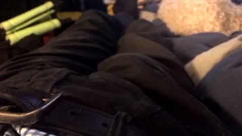 Leon online show from 10, 4, 2026