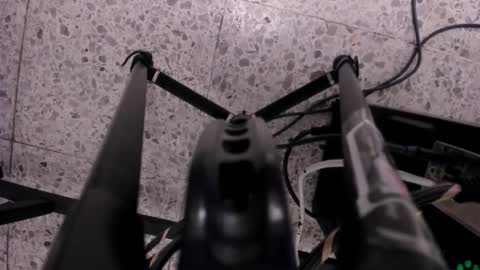 Leo  online show from 11, 11, 2025