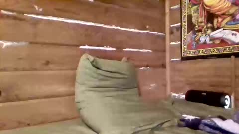 leskator9 online show from 4, 3, 2026