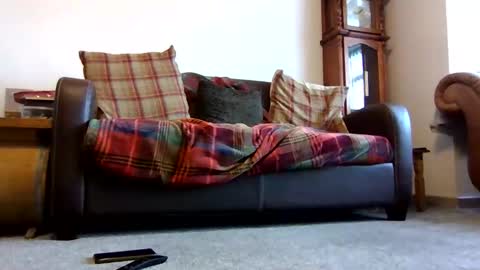 Snapshot of letmestrip chatting on 9, 2, 2026 paul online show from 9, 2, 2026