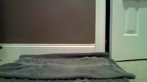 Snapshot of lets_orgasm_ chatting on 27, 1, 2025 Lets Orgasm online show from 27, 1, 2025