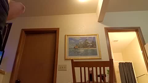 letsplay361 online show from 8, 3, 2025