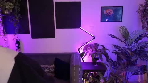 Levity online show from 18, 11, 2025