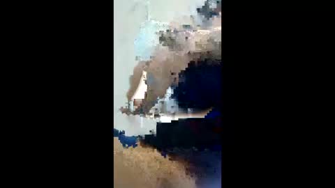 lexboy788181 online show from 23, 4, 2026