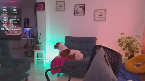 Lexie Thompson   8pm  0000am -5 online show from 16, 12, 2024