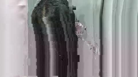 Snapshot of lhara_morena chatting on 18, 12, 2025 lhara_morena online show from 18, 12, 2025