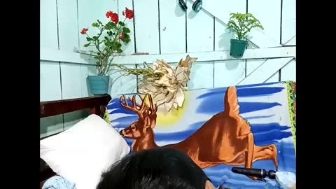 Snapshot of lia_hottie chatting on 13, 9, 2025 Lia online show from 13, 9, 2025