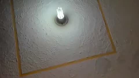 lianfox_ online show from 11, 7, 2026
