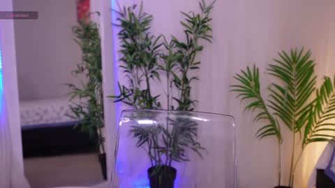 Snapshot of liia_sweett chatting on 19, 6, 2026 Lia Sweet online show from 19, 6, 2026
