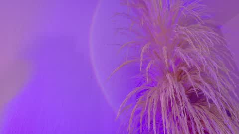 Liiam Luna online show from 31, 3, 2026