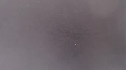 liiz5 online show from 9, 3, 2026