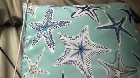 Snapshot of likefhot chatting on 17, 11, 2025 likefhot online show from 17, 11, 2025