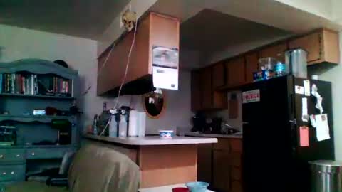 Snapshot of likerightnow chatting on 2, 4, 2026 likerightnow online show from 2, 4, 2026