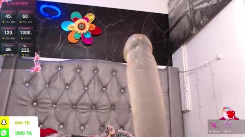   online show from 24, 2, 2026