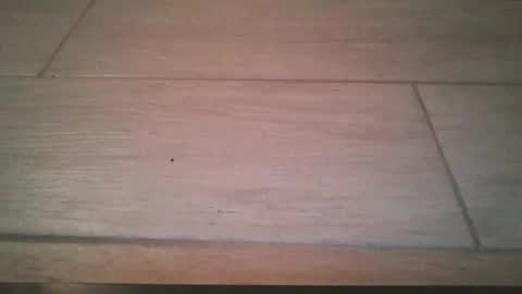 Snapshot of lildicksissy chatting on 22, 11, 2025 lildicksissy online show from 22, 11, 2025