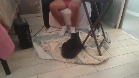 Snapshot of lildicksissy chatting on 28, 11, 2025 lildicksissy online show from 28, 11, 2025