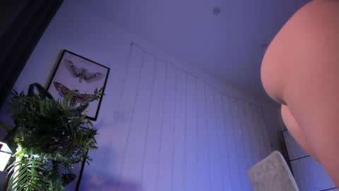 LIL online show from 6, 2, 2025