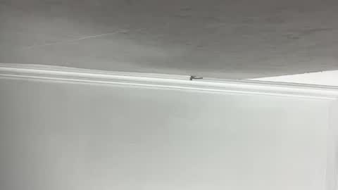 Snapshot of lilith_rose6 chatting on 11, 11, 2025 Lilith online show from 11, 11, 2025