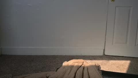 Snapshot of lilithoftrees chatting on 4, 3, 2025 L online show from 4, 3, 2025