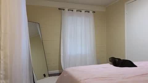 lilly_adams88 online show from 21, 5, 2026