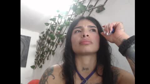 lil palacio online show from 8, 3, 2025