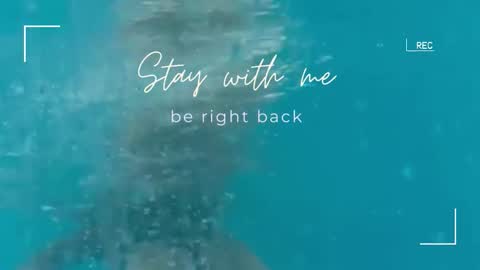 Snapshot of lily_foster_ chatting on 22, 9, 2025 Lily online show from 22, 9, 2025