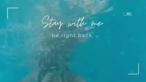 Snapshot of lily_foster_ chatting on 23, 9, 2025 Lily online show from 23, 9, 2025