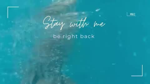 Snapshot of lily_foster_ chatting on 29, 9, 2025 Lily online show from 29, 9, 2025