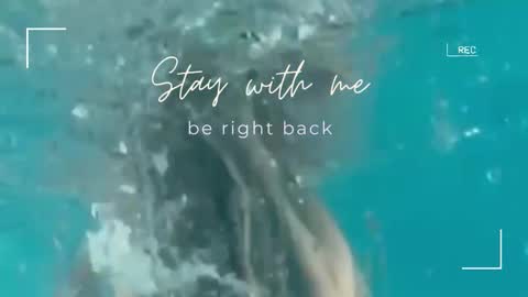 Snapshot of lily_foster_ chatting on 30, 9, 2025 Lily online show from 30, 9, 2025