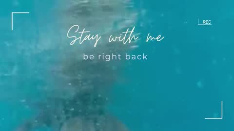 Snapshot of lily_foster_ chatting on 1, 11, 2025 Lily online show from 1, 11, 2025