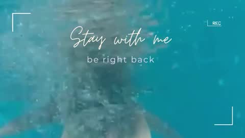 Snapshot of lily_foster_ chatting on 2, 11, 2025 Lily online show from 2, 11, 2025