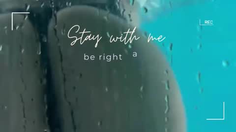 Snapshot of lily_foster_ chatting on 9, 11, 2025 Lily online show from 9, 11, 2025