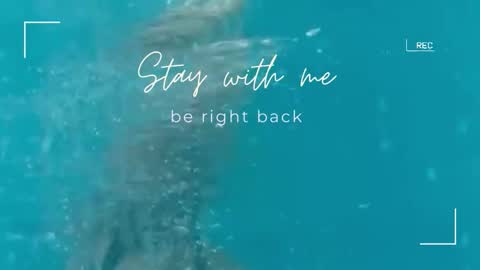 Snapshot of lily_foster_ chatting on 10, 11, 2025 Lily online show from 10, 11, 2025