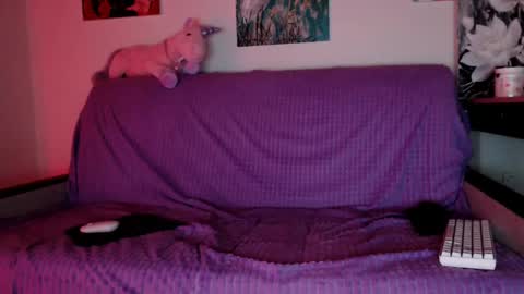 Snapshot of lily_litle chatting on 8, 12, 2024 Lily Litle online show from 8, 12, 2024